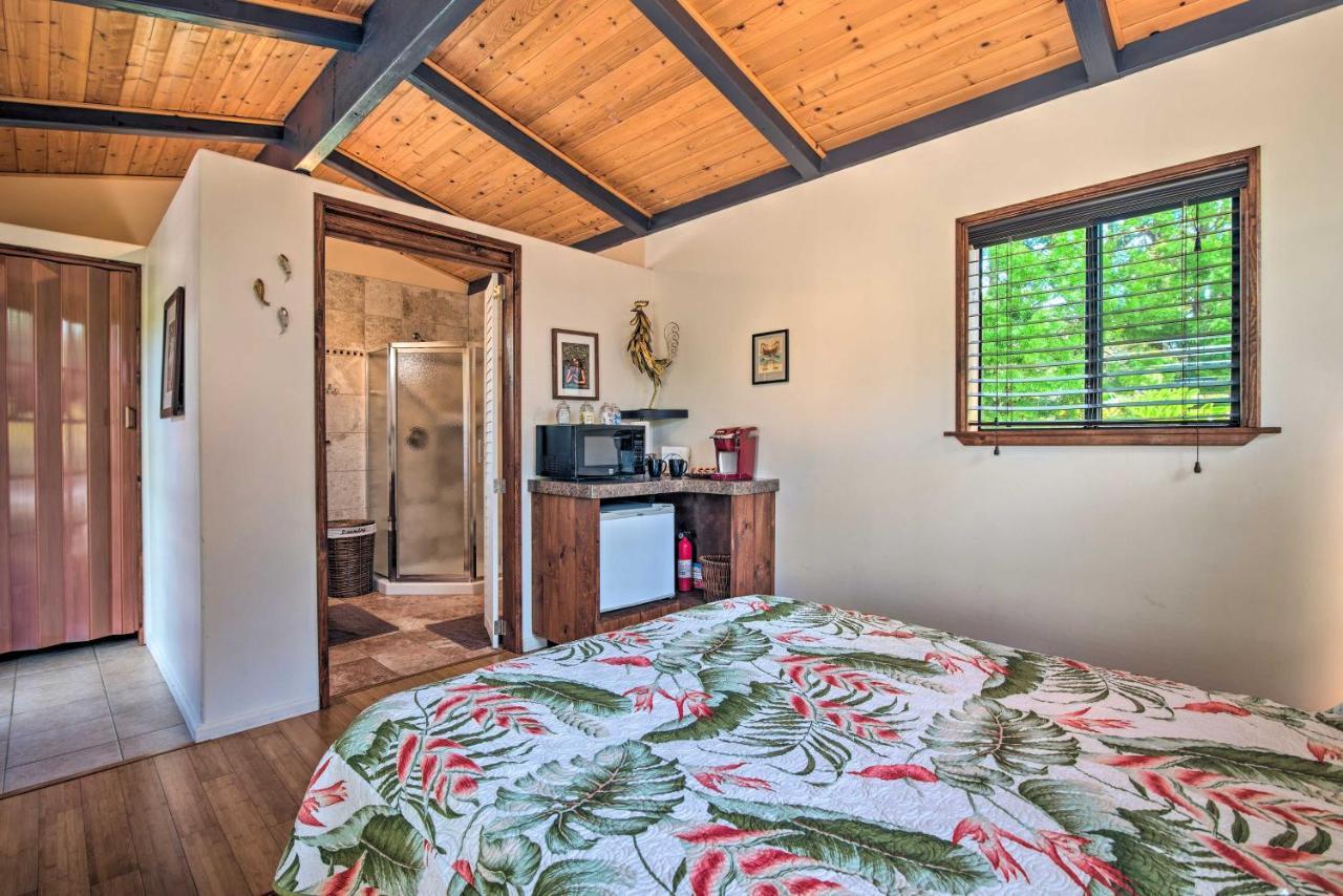 Cozy Volcano Studio With Phenomenal Rainforest Views 芒廷维尤 外观 照片