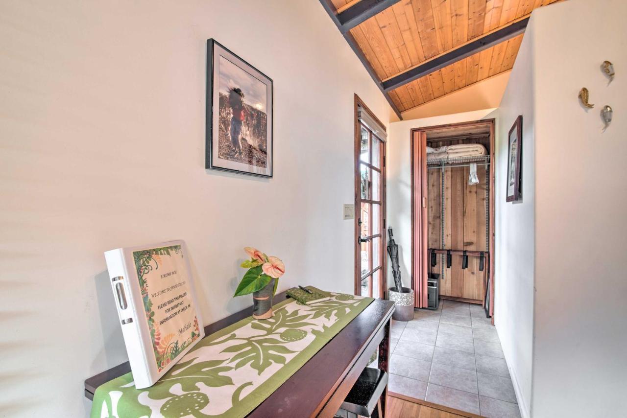 Cozy Volcano Studio With Phenomenal Rainforest Views 芒廷维尤 外观 照片